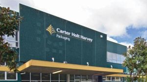 carter holt harvey drug test