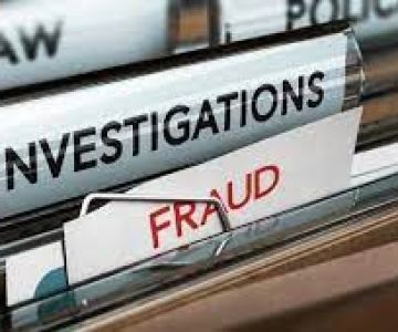 fraud and business investigations nz